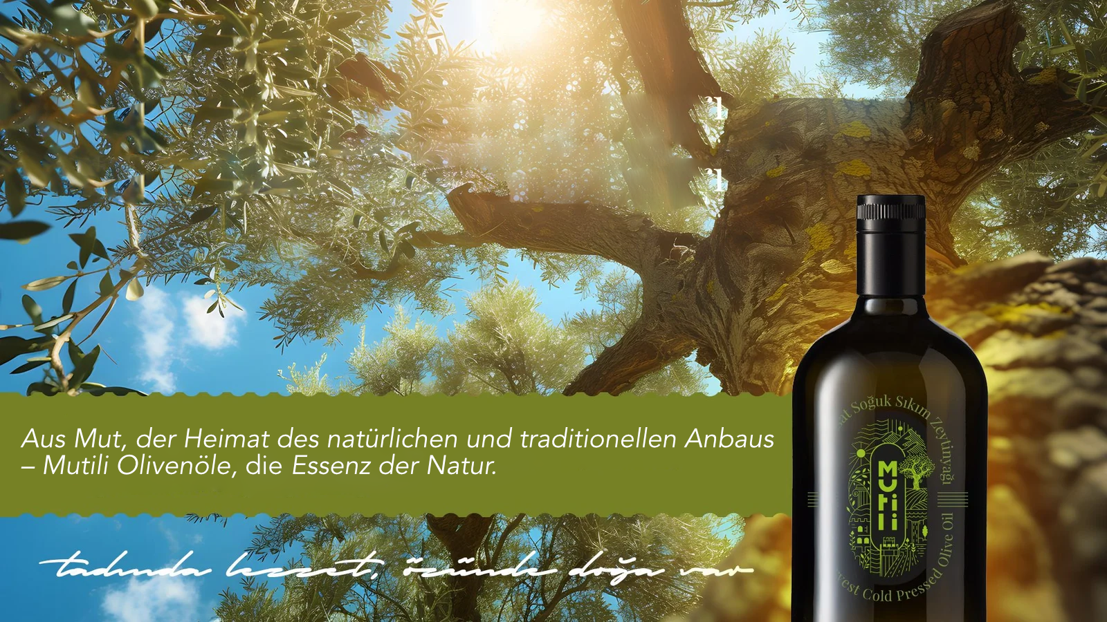 mutili-web-slider-2-rdb3t120j83yy6cnu511khuwtp4qwdeyx483f95168